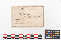 Etiketten zu Bronzearmreif (NHMW-PRAE-023686)